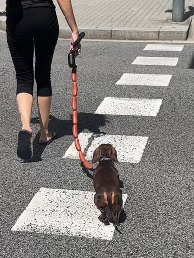 Juguete de Cuerda para Perro con Salchichas Grandes - Image 10