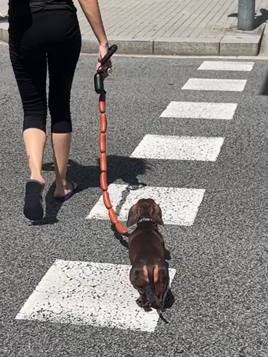 Juguete de Cuerda para Perro con Salchichas Grandes - Image 10