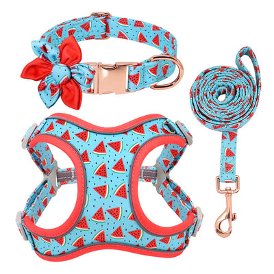 Correa y Collar para Perros Pequeños - Diseño Teddy Corgi - Image 18