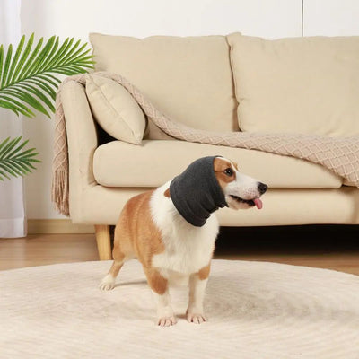 Protectores Auditivos Calmantes para Perros - Diadema Térmica Antiruido para Mascotas - Image 12