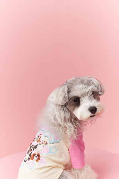 Ropa de Verano para Perros con Contraste de Colores - Image 23