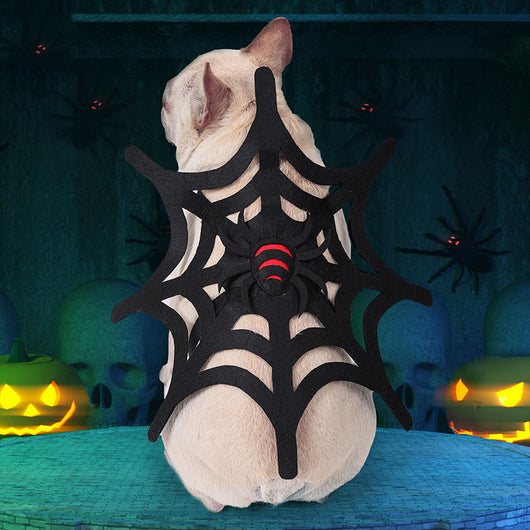 Kit de Transformación Halloween: Disfraz para Mascotas Gato, Perro y Telaraña - Image 4