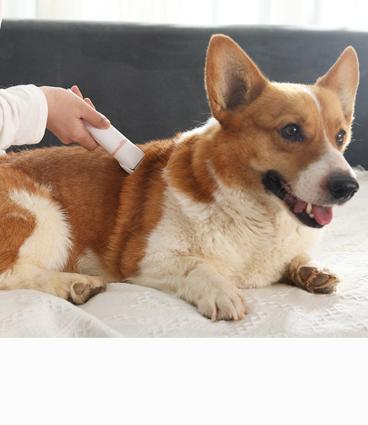 Cortadora Eléctrica Profesional para Mascotas - Image 18