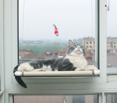 Hamaca Nido para Gatos - Cama Colgante Confortable - Image 11