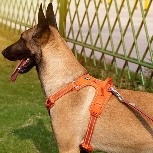 Arnés Reflectante para Perros con Cuerda de Sujeción