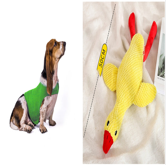 Chaleco Calmante para Mascotas - Ropa Terapéutica Antiansíedad para Gatos y Perros - Image 10