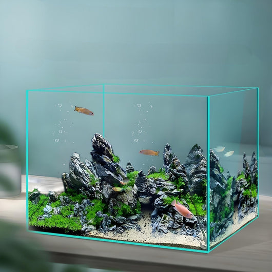 Acuario de Cristal Blanco Premium para Escritorio - Image 11
