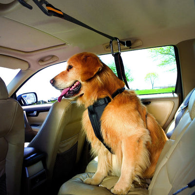 Orange and black pet safety belt installed in a car, securing a boxer dog in the back seat. - Image 5