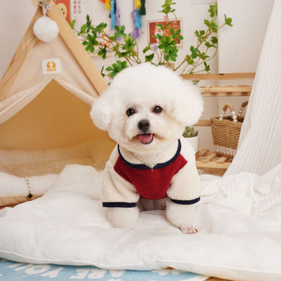 Suéter Térmico de Felpa Berber para Mascotas - Abrigo Grueso Otoño Invierno - Image 15