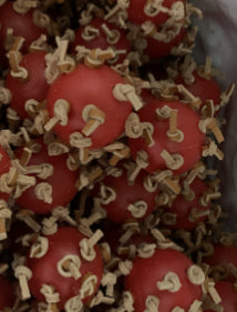 Red plastic interactive chewing ball with brown leather rope knots, next to a green parrot. - Image 4