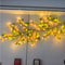 Camellia 1.6 M 36 Lights