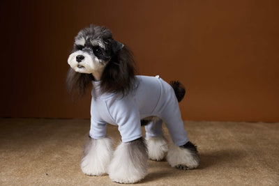 Playera Térmica para Perros Schnauzer y Bichón - Cómoda y Abrigadora - Image 31