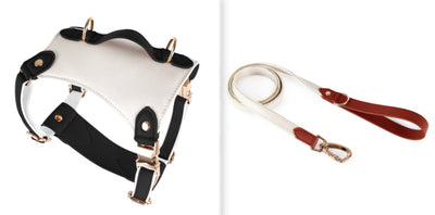 Arnés de Cuero para Mascotas con Cuerda Guía - Image 12