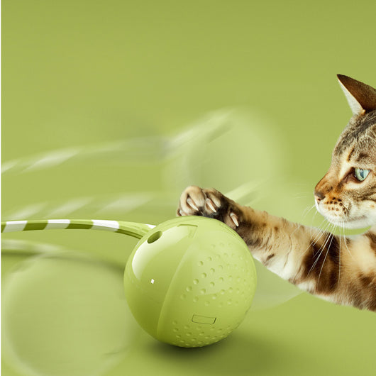 Light green interactive cat ball toy with a green and white striped flexible wand, shown with a white USB charging cable. - Image 4