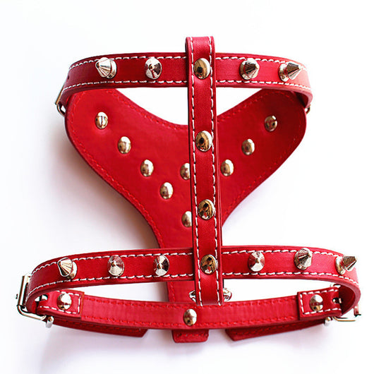 Arnés de Cuero con Tachuelas para Perros Pequeños - Chaleco Protector Negro - Image 8
