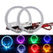 Luces LED Ojos de Ángel para Automóvil - Lente Decorativa Premium