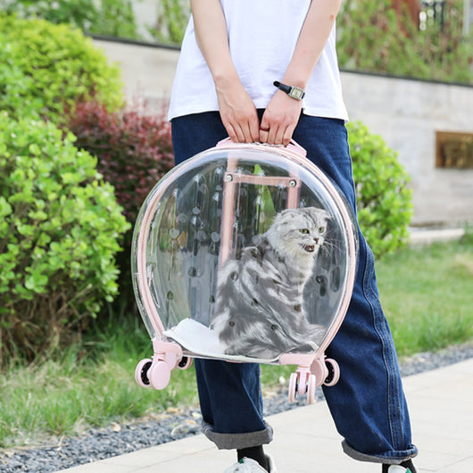 Bolsa Transportadora Transparente para Gatos - Image 15