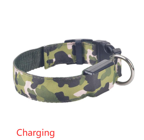 Collar Luminoso Camuflaje para Perros - Seguridad Nocturna - Image 18