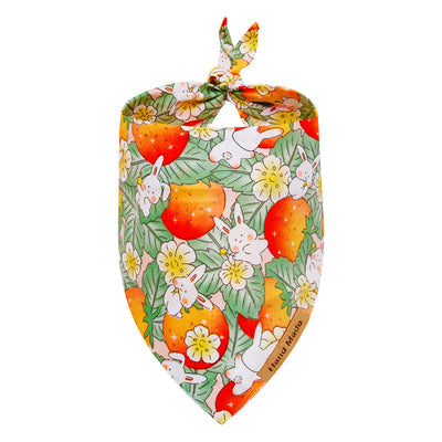 Toalla Absorbente para Mascotas con Diseño Cartoon - Primavera y Verano - Image 12