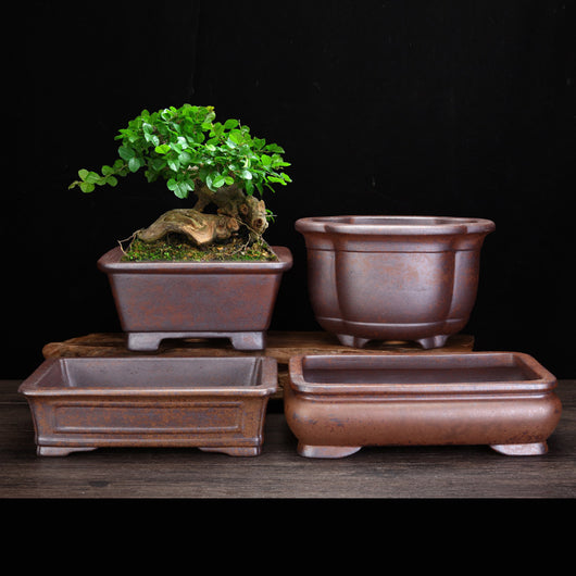 Maceta Orquídea Yixing Cerámica Púrpura - Diseño Minimalista para el Hogar