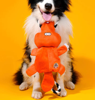Juguete Molar Interactivo para Perros Medianos y Grandes con Sonido - Image 7