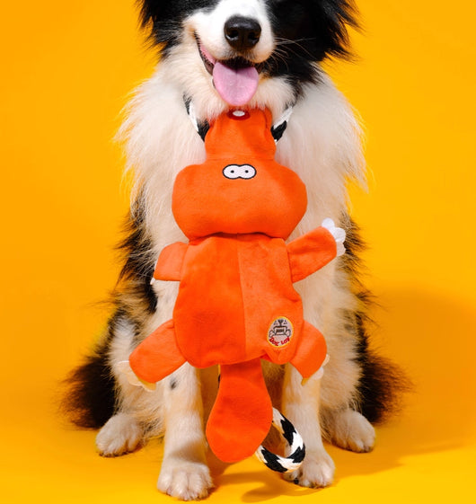 Juguete Molar Interactivo para Perros Medianos y Grandes con Sonido - Image 7