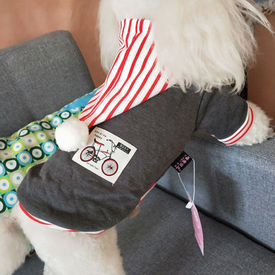 Ropa para Mascotas Primavera Verano - Teddy Adorable - Image 9
