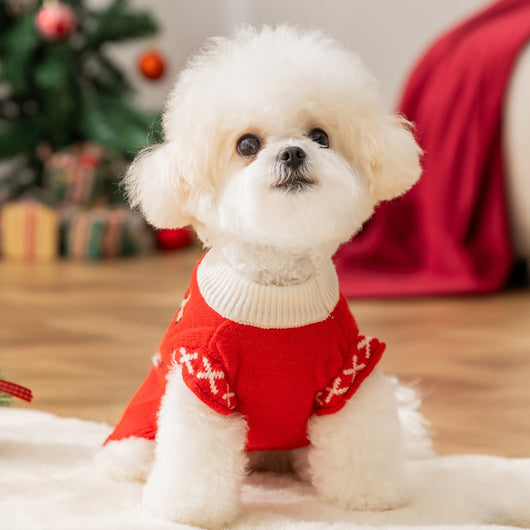 Suéteres Tejidos para Perros y Gatos - Abrigos Cálidos de Invierno - Image 15