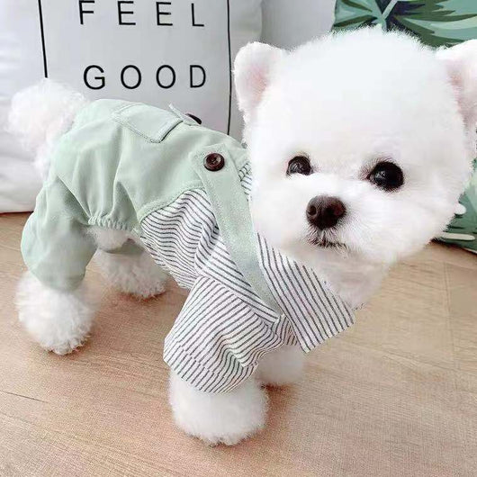 Ropa Ligera para Mascotas - Abrigo Primavera y Otoño para Perros y Gatos - Image 7