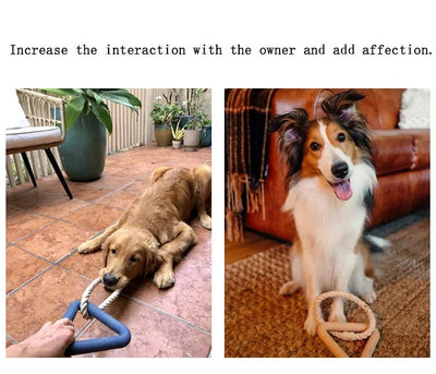 Juguete Interactivo de Cuerda para Perros - Anillo Triangular Resistente a Mordidas - Image 18