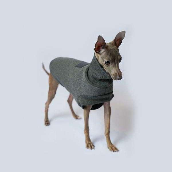 Abrigo para Perros Otoño e Invierno - Aislante y Resistente al Viento