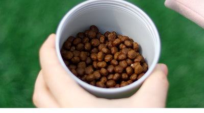 Bebedero Portátil para Mascotas - Vaso de Agua para Perros - Image 12