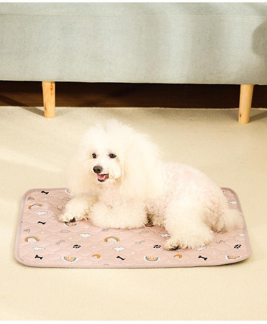 Pañales Absorbentes Lavables para Perros - Antideslizantes y Reutilizables - Image 19