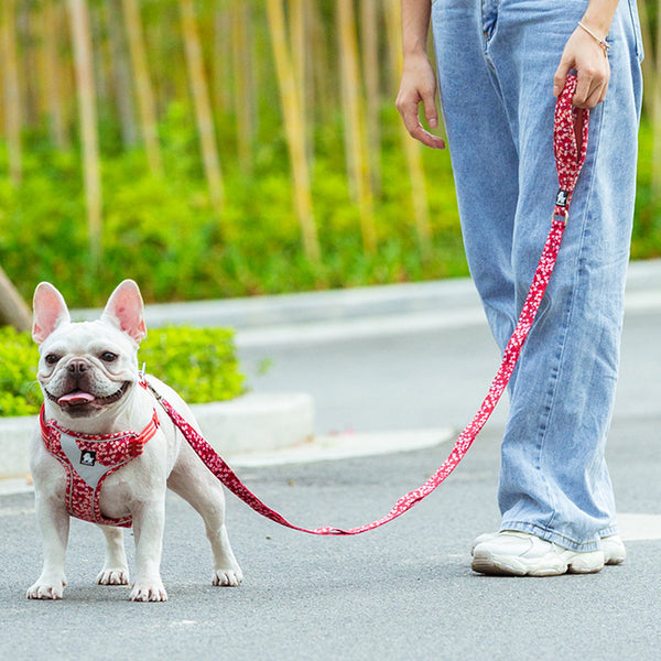 Juguete de Cuerda y Cadena para Perros - Tracción y Diversión