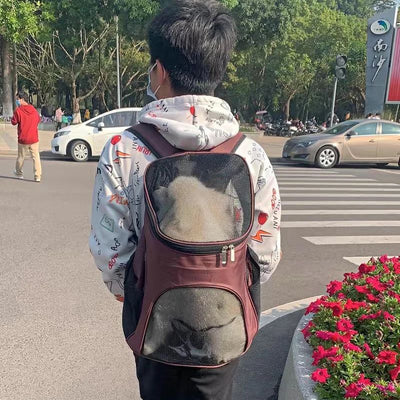 Mochila Transportadora Respirable para Perros Pequeños - Portátil y Cómoda - Image 9