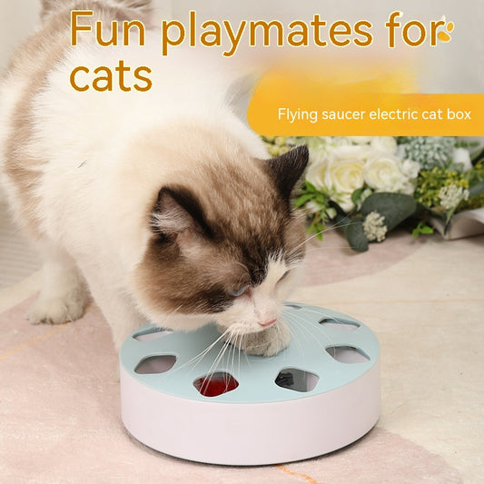 Light blue circular cat teaser toy with multiple cutouts and a red feather extending from one opening.