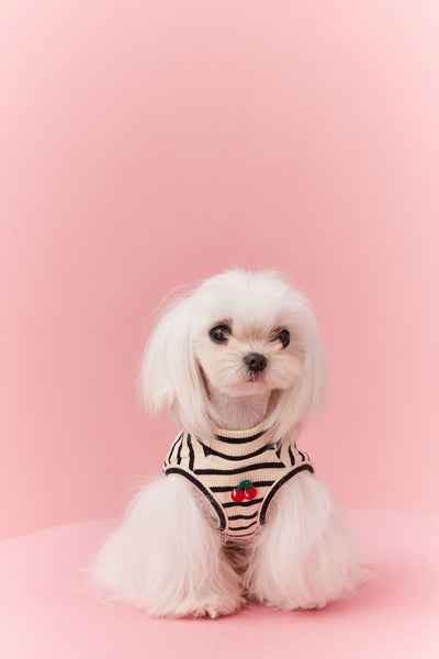 Chaleco sin Mangas Schnauzer Teddy Bichón a Rayas Cerezo - Image 9