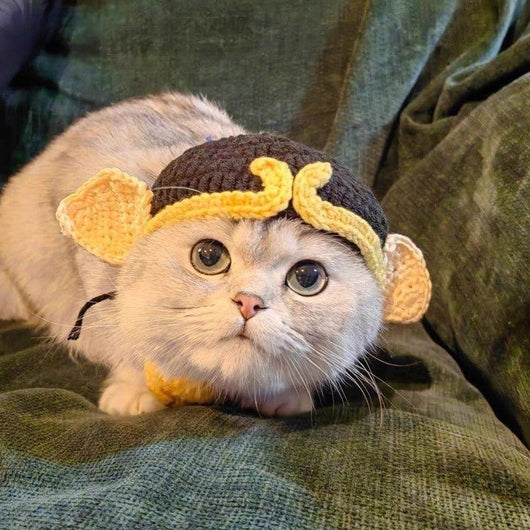 Gorro Tejido para Mascotas - Sombrero Divertido para Gatos y Perros - Image 8