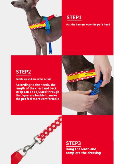 Arnés de Pecho y Correa de Tracción para Perros - Image 14