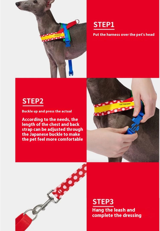 Arnés de Pecho y Correa de Tracción para Perros - Image 14
