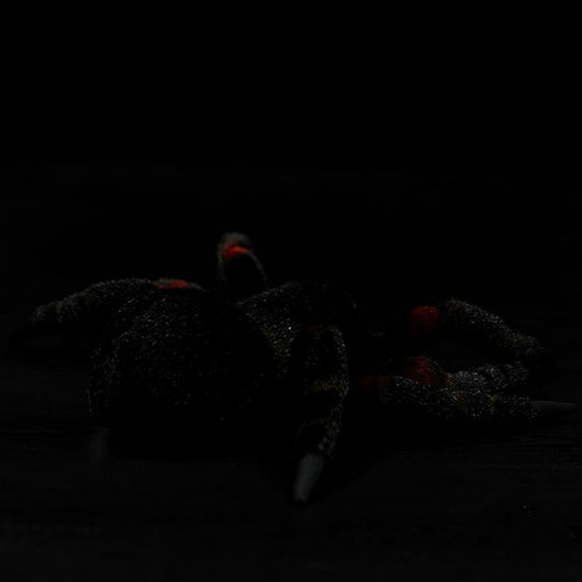 Muñeco Araña Realista - Juguete Educativo de Simulación Animal - Image 4