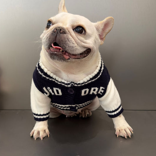 Suéter Arcoíris para Mascotas - Diseño Divertido para Gatos y Perros - Image 3