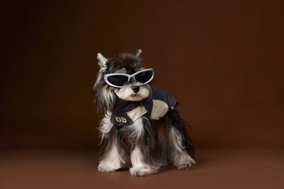 Ropa de Otoño para Perros Pequeños - Abrigos para Schnauzer, Teddy y York - Image 3