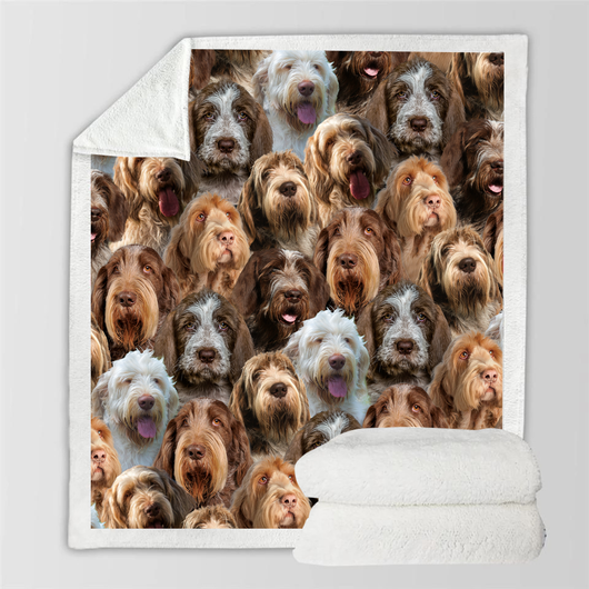 Manta Franela Estampada para Perros - Image 85