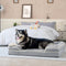 Cama Sofá para Perros Medianos y Grandes con Funda Removible y Lavable