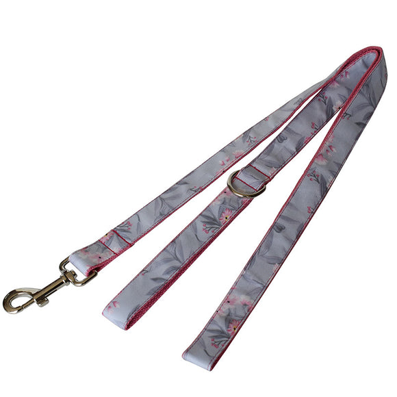 Collar y Correa para Perro con Diseño de Pintura Artística