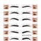 Peach Eyebrow