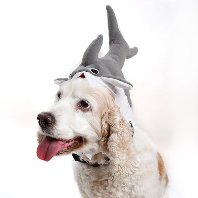Gorro Tiburón para Mascotas - Disfraz Adorable de Transformación - Image 12