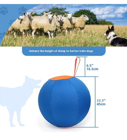 Blue and orange pet training ball with a fabric handle, designed for dogs like Shiba Inu and Corgi. - Image 10