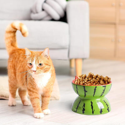 Comedero Elevado de Cerámica para Gatos - Plato Inclinado Antiválvulos para Gatos y Perros Pequeños - Image 11